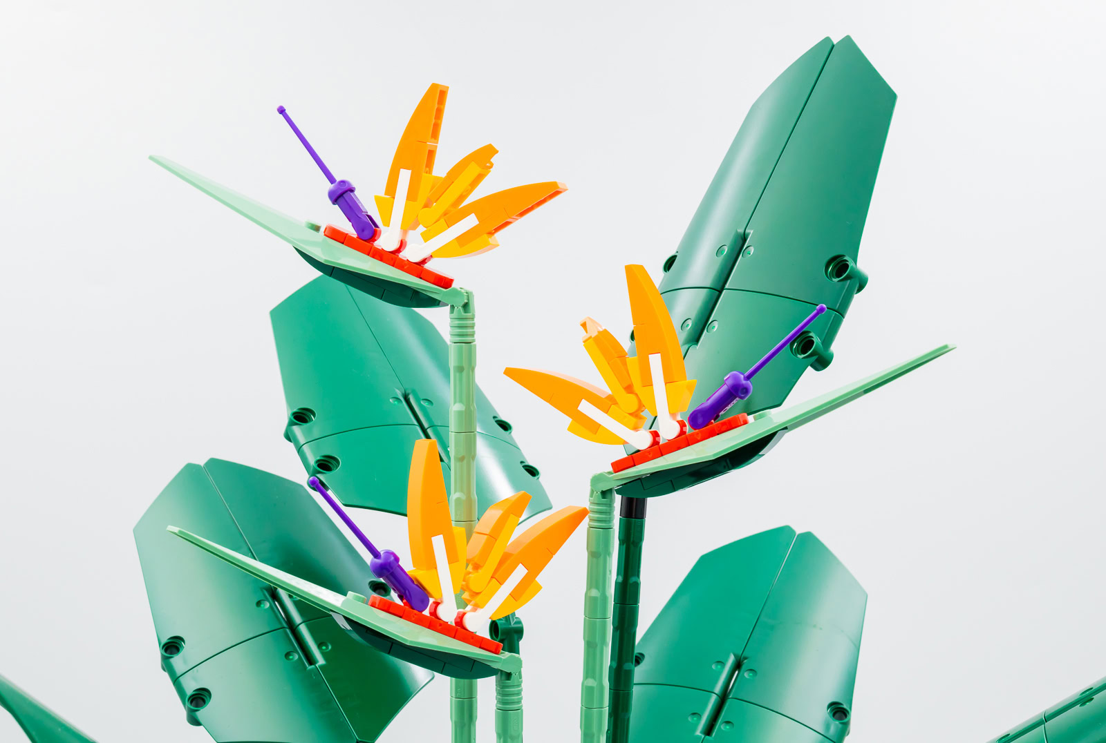 ▻ Review: LEGO BOTANICALS 10289 Bird of Paradise - HOTH BRICKS